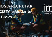 Técnico Electricista e Assistente (M/F)