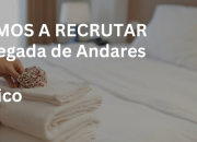 Empregada de Andares (M/F)