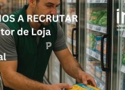 Repositor de Loja (M/F)