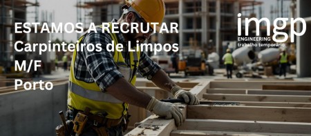 Carpinteiro de Limpo (M/F)