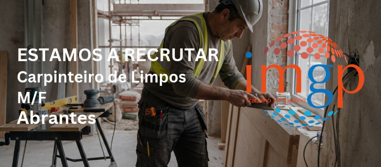 Carpinteiro Limpos (M/F) — Abrantes