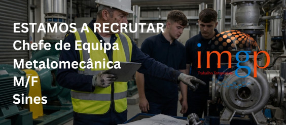 Chefe de Equipa Metalomec&acirc;nica (M/F) &mdash; Sines
