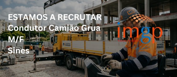 Condutor Cami&atilde;o Grua (M/F) &mdash; Sines